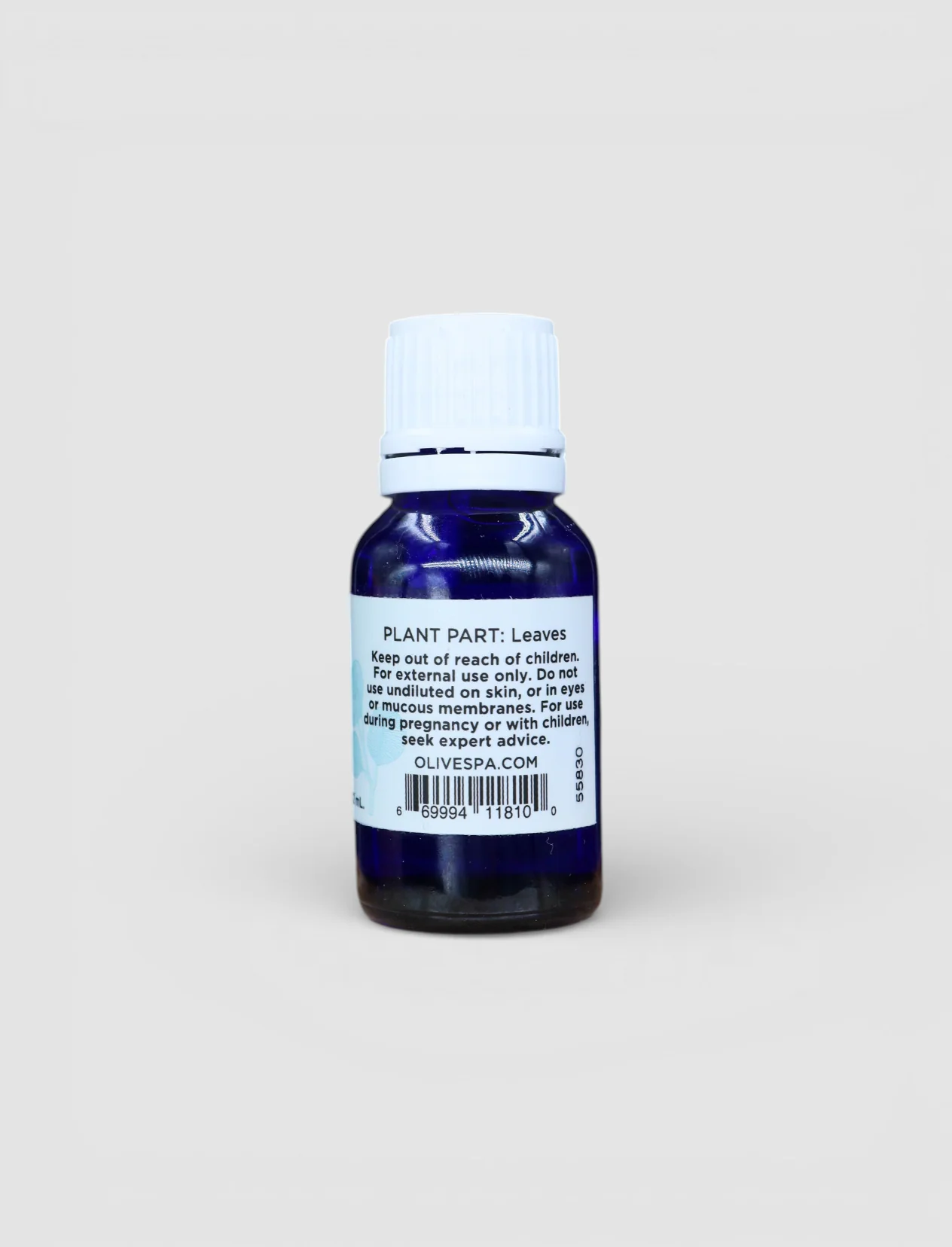 EUCALYPTUS ESSENTIAL OIL - Image 3